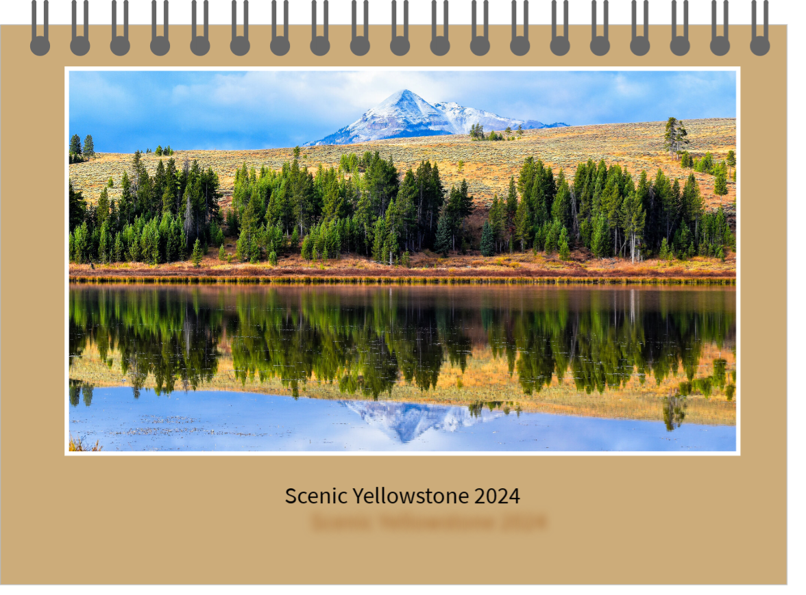 Scenic Yellowstone 2024
