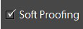 Lightroom soft proof check button
